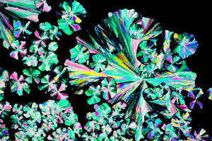 Citric acid crystals in polarized light
