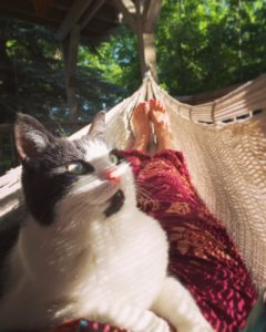 Lola the cat and Alysha Brilla in hammock, June 2017 (Photo by Alysha Brilla)